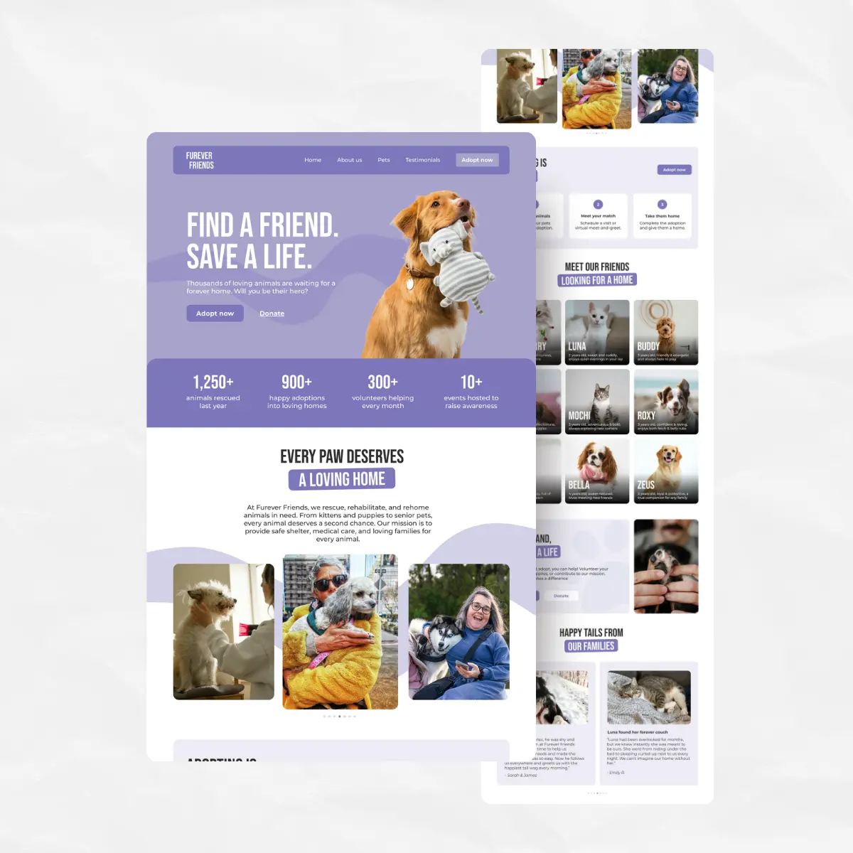 animalshelter